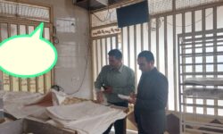 برخورد با ۴ نانوایی متخلف در بهبهان