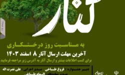 اولین جشنواره هنری کُنار در بهبهان