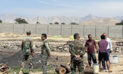 سوداگران چوب در چنگال یگان حفاظت بهبهان