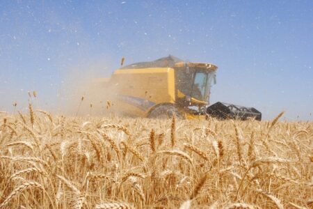 مطالبات گندم‌کاران بهبهان به موقع پرداخت می‌شود