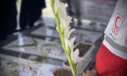 هلال احمر؛ چراغ امید در تاریکی روزگار