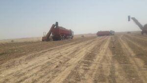 IMG 20250524 212249 385 برداشت بیش از ۸۰ هزار تن چغندر قند از مزارع بهبهان