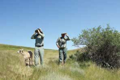 دستگیری شکارچی غیرمجاز در منطقه حفاظت‌ شده خائیز + فیلم