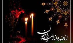 خواهر شهید محیط‌بان هدایت‌اله دیده‌بان به برادر شهیدش پیوست