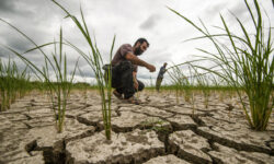مدیریت بحران آب در بهبهان؛ کشت‌ جدید ممنوع شد