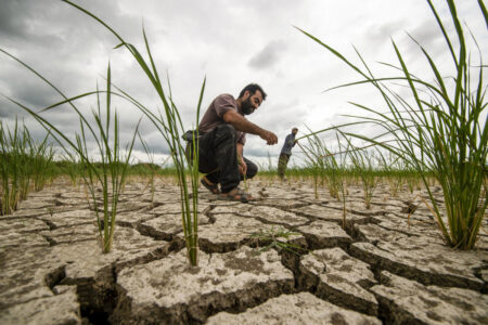 مدیریت بحران آب در بهبهان؛ کشت‌ جدید ممنوع شد