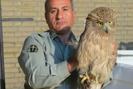 دستور ویژه سردار رادان در خصوص پرونده شهید دیده‌بان