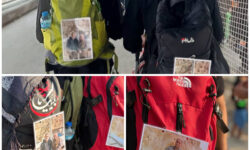 تصویر شهید حاجی زاده و محیط‌بان شهید دیده‌بان بر کوله‌های زائران اربعین بهبهان