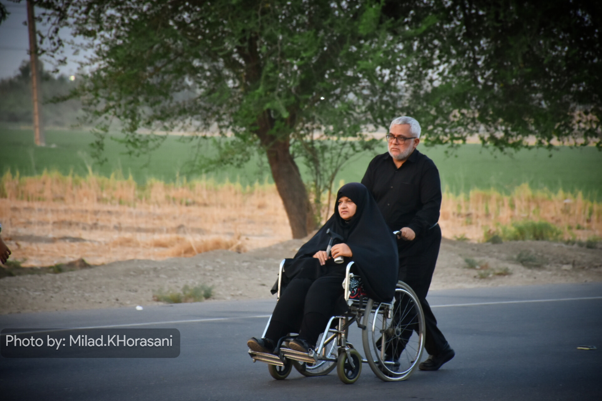 عکس| از سپیدهدم تا قدمگاه؛ عاشقی مردم بهبهان برای امام رضا(ع)» 9 InShot ۲۰۲۵۰۸۲۴ ۱۰۴۷۱۵۷۹۵ عکس| از سپیدهدم تا قدمگاه؛ عاشقی مردم بهبهان برای امام رضا(ع)»