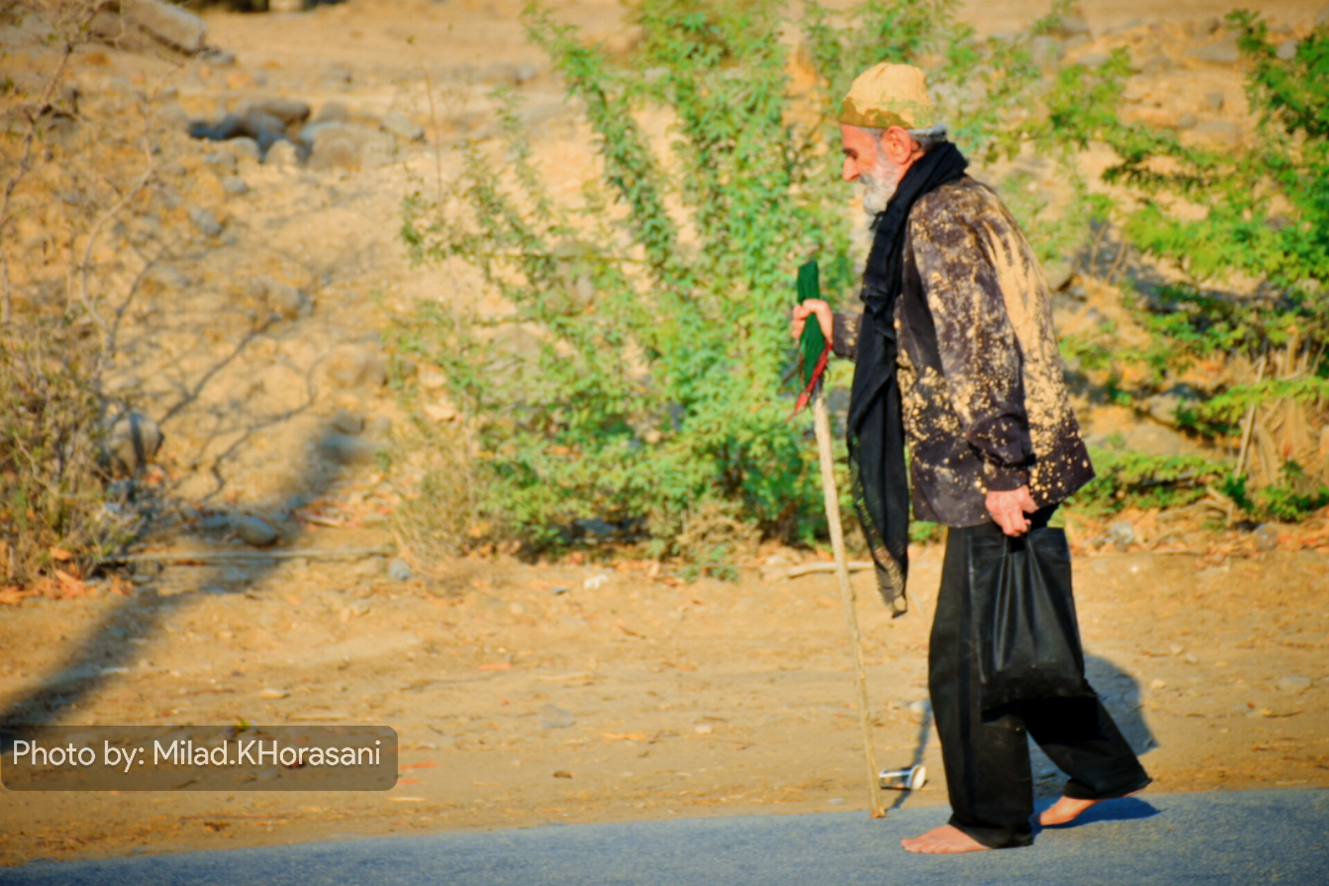 عکس| از سپیدهدم تا قدمگاه؛ عاشقی مردم بهبهان برای امام رضا(ع)» 34 InShot ۲۰۲۵۰۸۲۴ ۱۱۲۵۱۰۲۰۰ عکس| از سپیدهدم تا قدمگاه؛ عاشقی مردم بهبهان برای امام رضا(ع)»