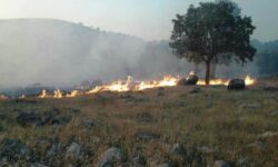 منطقه حفاظت‌شده «خاییز» بهبهان پس از آتش‌سوزی، بذرپاشی شد