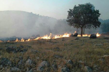 منطقه حفاظت‌شده «خاییز» بهبهان پس از آتش‌سوزی، بذرپاشی شد