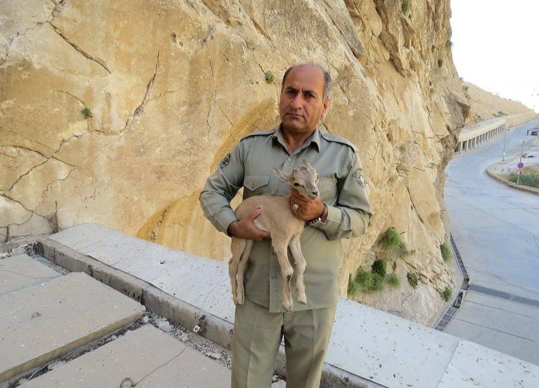 IMG 20250603 WA0029 احراز شهادت محیط‌بان شهید هدایت الله دیده‌بان
