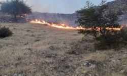 انتقال دو مصدوم آتش‌سوزی بدیل با عملیات زمینی؛ اعزام تیم پیشرو هلال‌احمر به ارتفاعات صعب‌العبور
