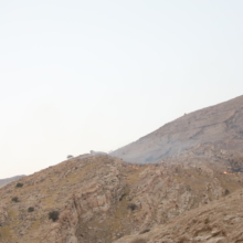 IMG 20260628 020241 463 220x220 1 عکس|جانفشانی عاشقان طبیعت برای بدیل